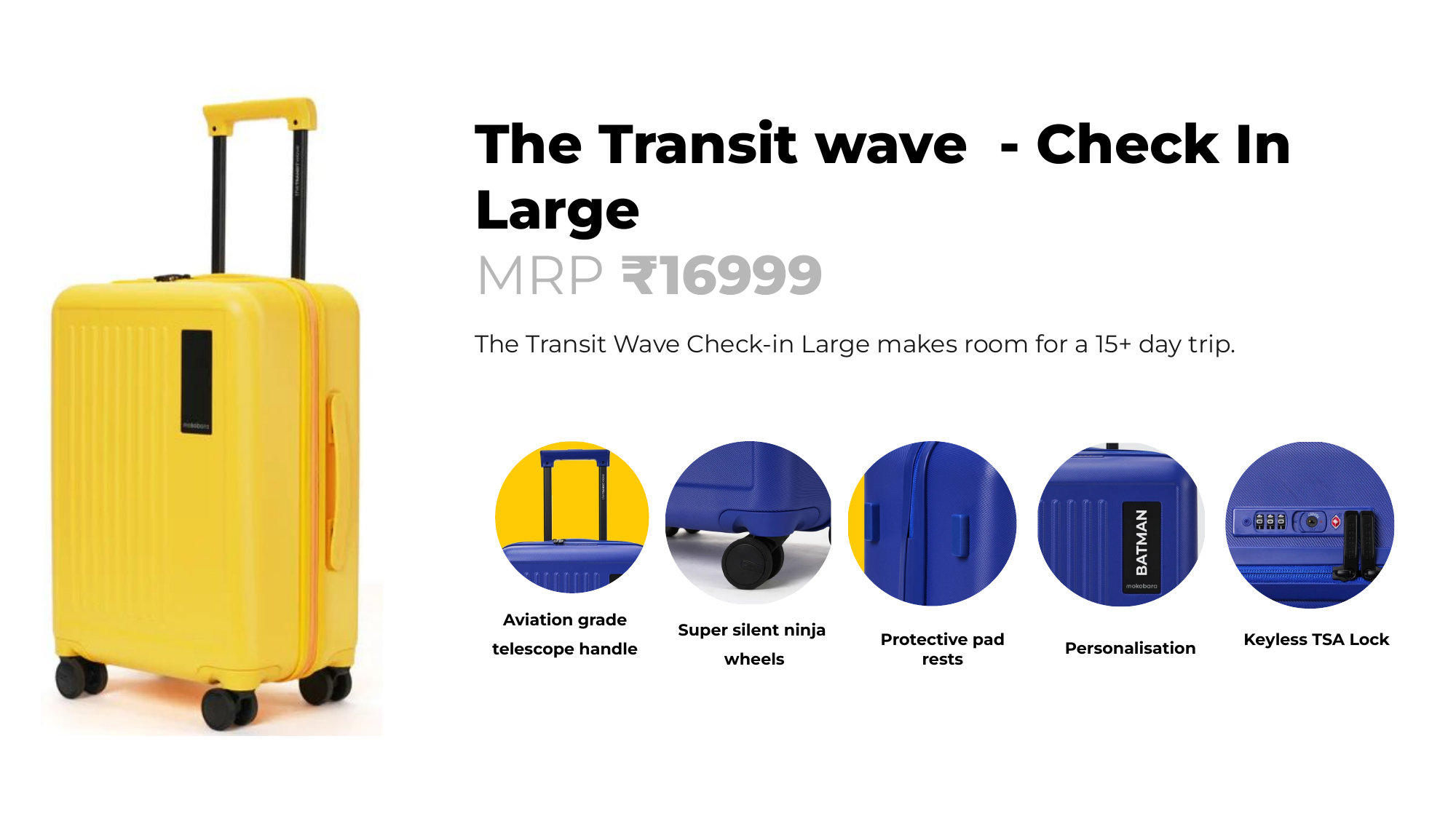 Transit Wave — Check-in Alt